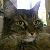 Marilyn Simmons Photo 12