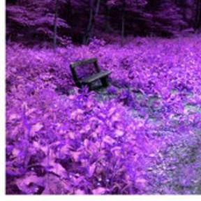 Elvira Martinez Photo 30