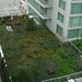 Victoria Green Photo 5