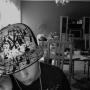 Stephen Cousins Photo 28