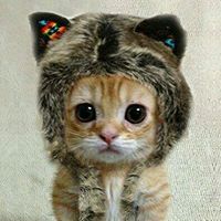 Megan Schneider Photo 8