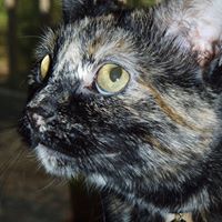 Marion Lang Photo 27