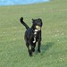 Susan Ridgway Photo 29