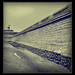 Victor Fortin Photo 8