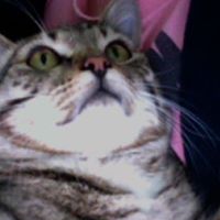 Archie Welch Photo 14