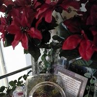 Laura Schrock Photo 12