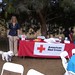 Cyndi Cross Photo 15