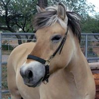 Ellen Houston Photo 24