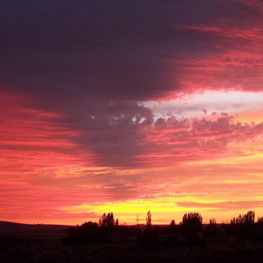 Annette Herman Photo 20