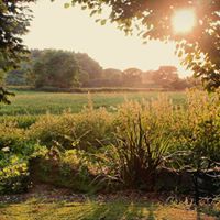 Mary Christopher Photo 16