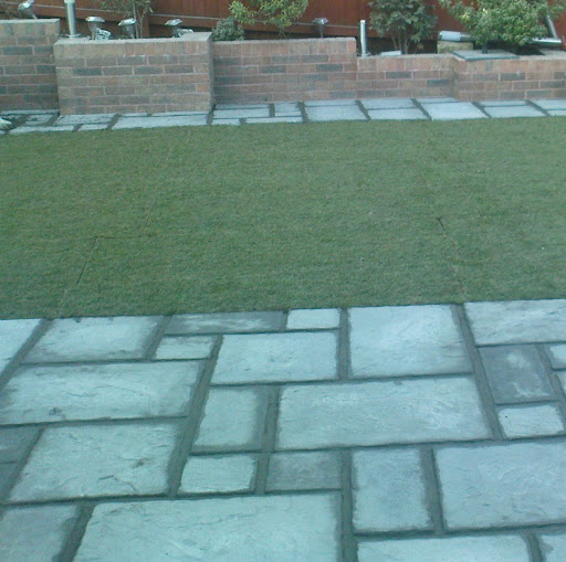 Stephen Carr Photo 53 Stephen Carr Photo 53