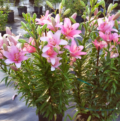 Martha Cooper Photo 26