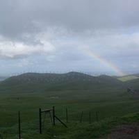 Suzanne Skaggs Photo 6