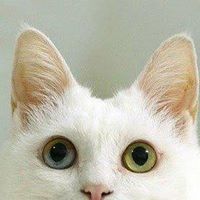 Deborah Gates Photo 21