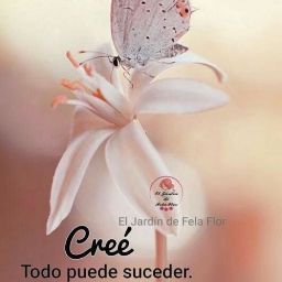 Laura Vargas Photo 22