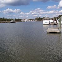 Susan Byrd Photo 10