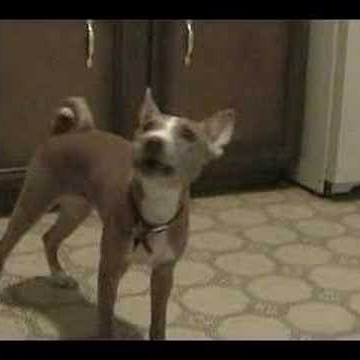 Todd Howell Photo 37