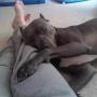 Chandra Morris Photo 15