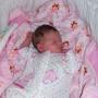 Marjorie Walters Photo 19