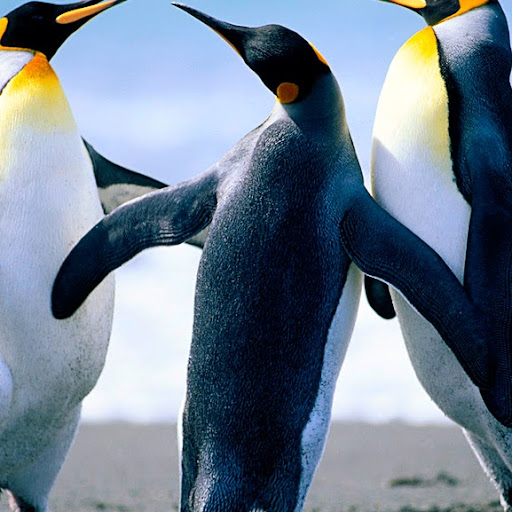 Zach Nichols Photo 10