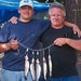 Timothy Trout Photo 14
