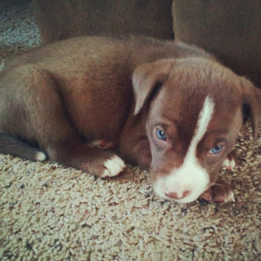 Samantha Whitley Photo 13