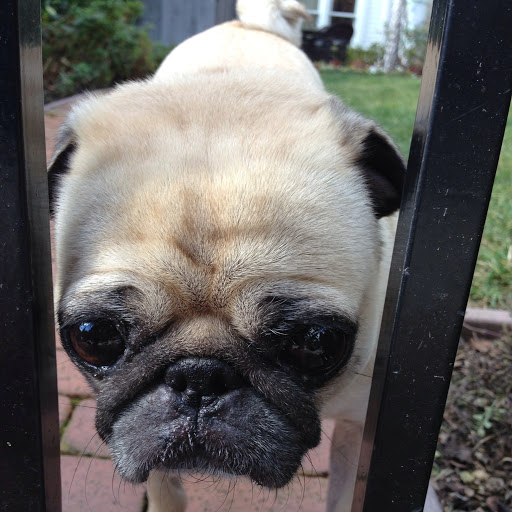 Brian Shields Photo 42