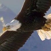 Timothy Daniel Photo 25