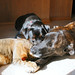 Sue Buell Photo 9