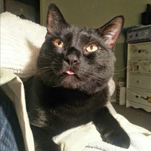 Kristen Mills Photo 33