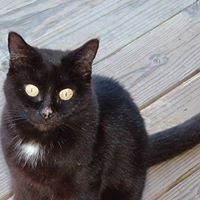 Charles Skinner Photo 44