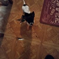 Charles Rowland Photo 15