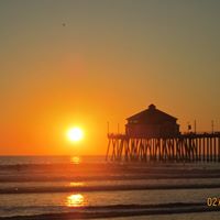 Diane Farris Photo 22