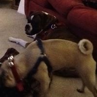 Michael Groves Photo 14