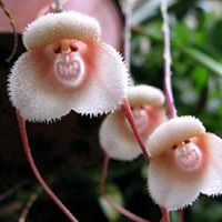 Linda Pitts Photo 21