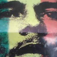 Roger Shepherd Photo 32