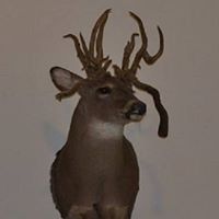 Cindy Lockhart Photo 30