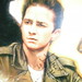 Steven Sheets Photo 32