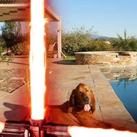 Robert Looper Photo 9