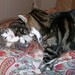 Larry Lester Photo 24