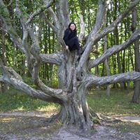 Julia Harter Photo 9