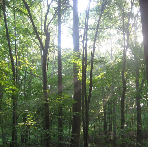 Amy Henning Photo 32