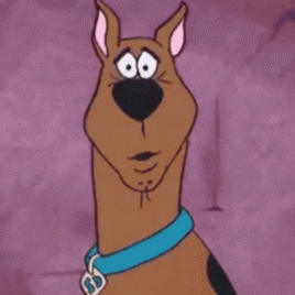 Pablo Colon Photo 33