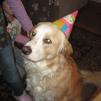 Victoria Gardner Photo 21