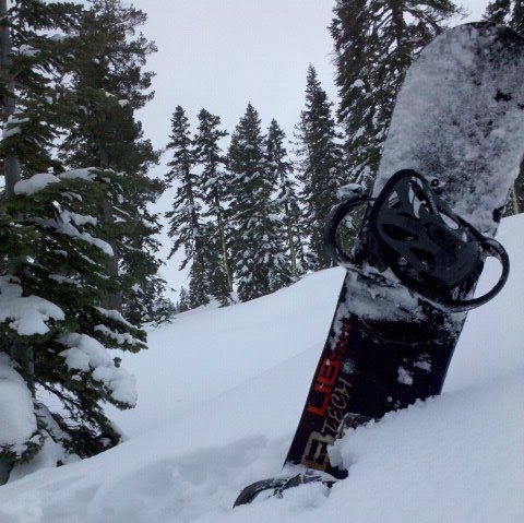 Reynaldo Garcia Photo 15 Reynaldo Garcia Photo 15