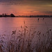 Richard Hadden Photo 30