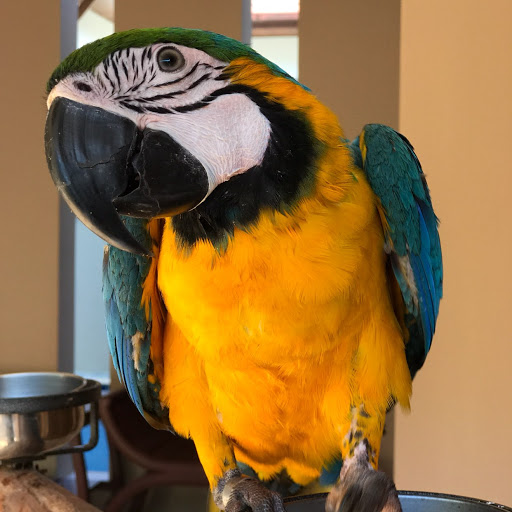 Julia Power Photo 30 Julia Power Photo 30