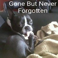 Heather Pyles Photo 19