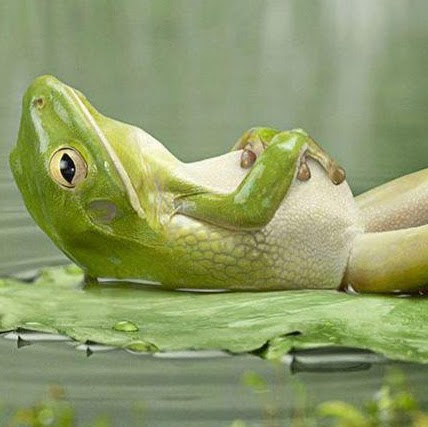 John Florence Photo 25