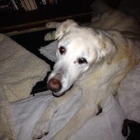 Colleen Blackwell Photo 20